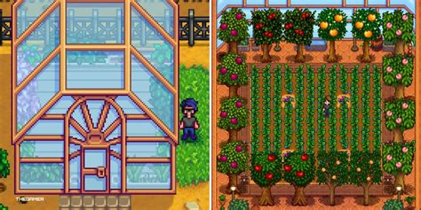 best greenhouse plants stardew|More.